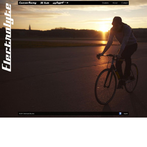 electrolyte290